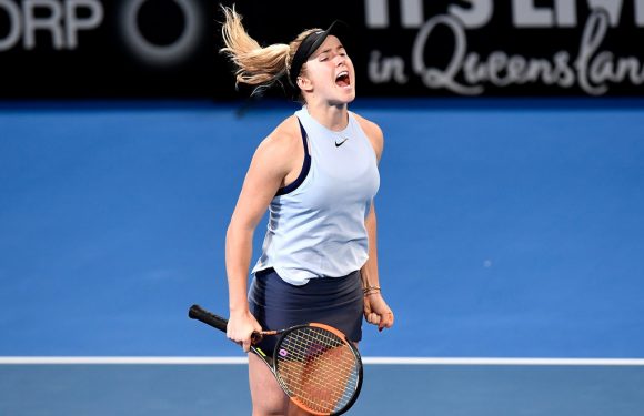 Видеообзор финала турнира WTA в Брисбене Свитолина — Соснович (дополнено)