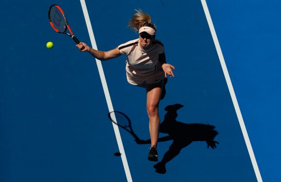 AUS Open. Видеообзор матча Свитолина — Синякова