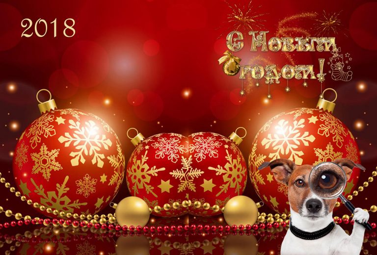 С новым годом Собаки