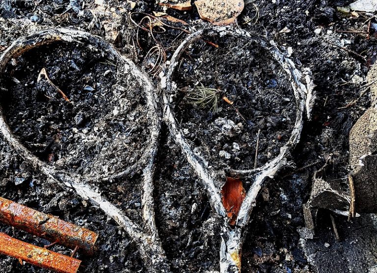 PXL_20220415_0704058