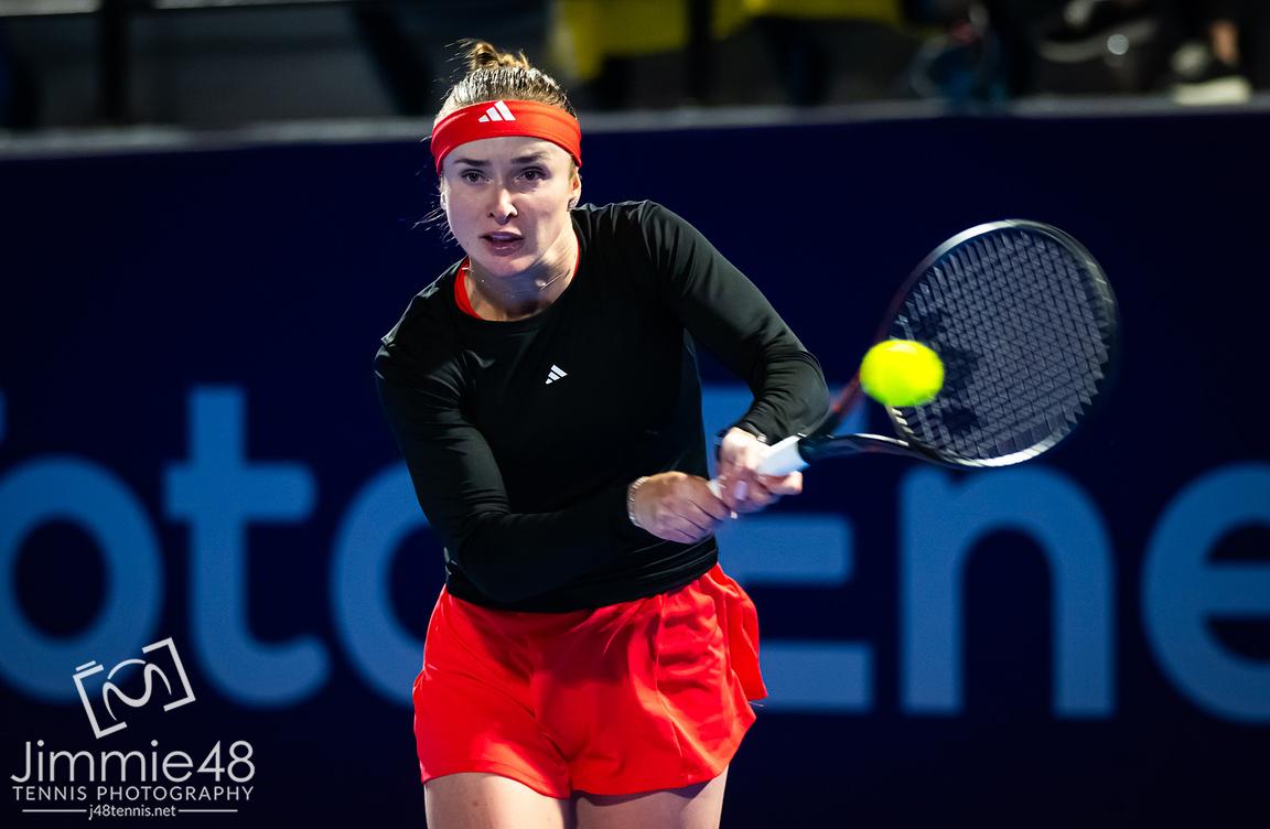 Qatar TotalEnergies Open 2025  - Day 2